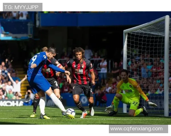 016诺维奇与赫尔城激战正酣谁能在英冠赛场笑到最后