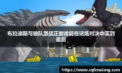 布拉迪斯与狼队激战正酣谁能在这场对决中笑到最后